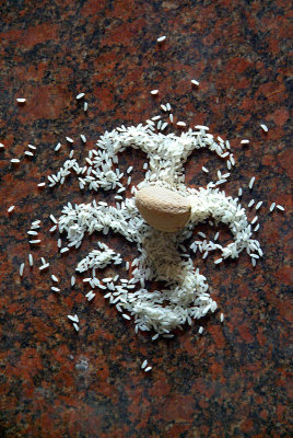Symbol made of Rice and Almond Sravanabelagola