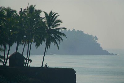 Sitting under Palm Trees on the Cliff Varkala