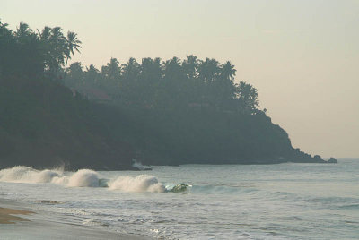 Waves and Palms from Black Beach Varkala
