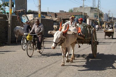 Ox Pulled Cart Bijapur