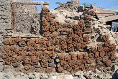 Cow Dung Fuel Drying on Wall Bijapur