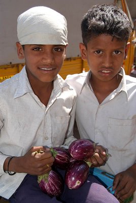 Boys Selling Aubergines Bijapur Market