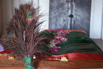 Peacock Feathers inside Tomb