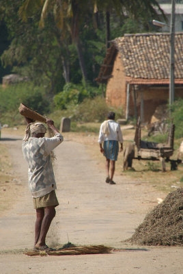 Man Sifting Crops in Road Halebid