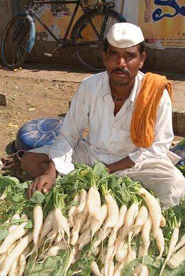 Man Selling Radishes Bijapur Market
