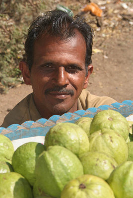 Selling Citrus Bijapur