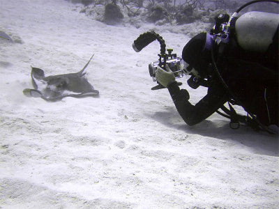 Videoing a Ray