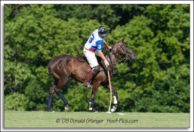 Polo 06-13-09_06.jpg