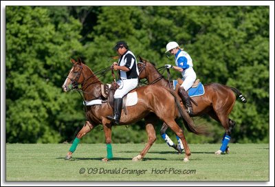 Polo 06-13-09_08.jpg