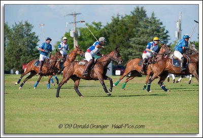 Polo 06-13-09_35.jpg