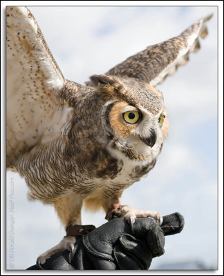 Raptor-Rehab_120.jpg