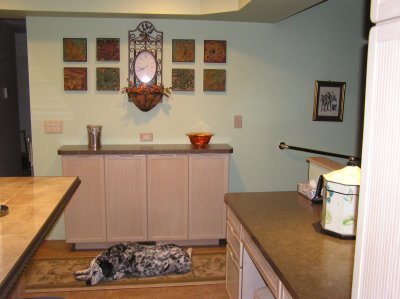 The aisle between the island seating and the desk, without stools yet, with spotted hound dog on the rug!