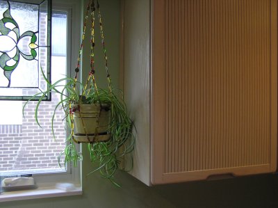Other Glass Bead Plant Hanger