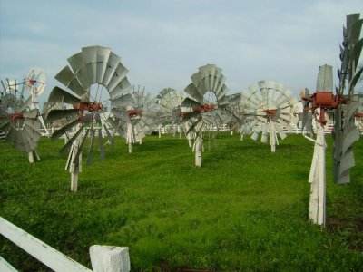 DSCI0435.JPG