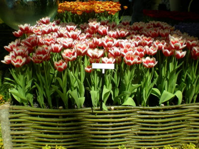 DSCN1495.JPG