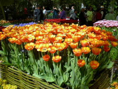 DSCN1500.JPG