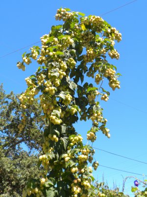 DSCN2012.JPG