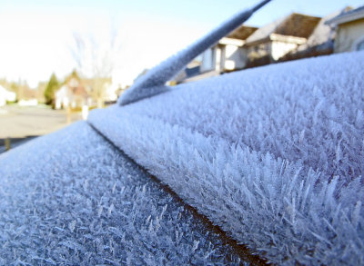 Amazing hoar frost! - IMG_3816.jpg