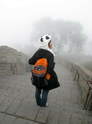 Great Wall at Badaling - IMG_5580.jpg