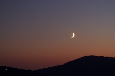 IMG_6595.jpg