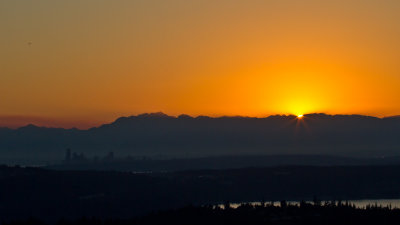 IMG_6686.jpg