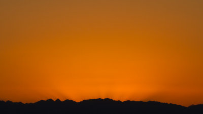 IMG_6695.jpg