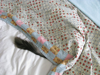 March ~ MD got sick, but still slept well - IMG_8253.jpg