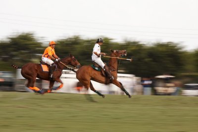 IMG_3618.jpg