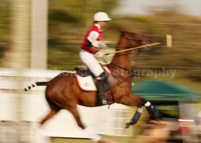 IMG_1197.jpg