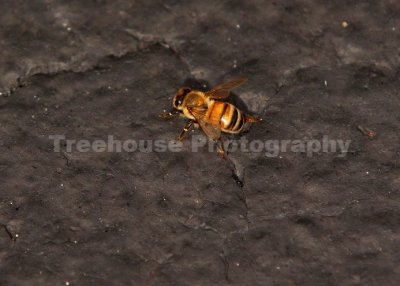 IMG_7449.jpg