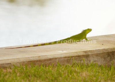 IMG_3354.jpg