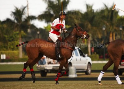 IMG_0206_w.jpg