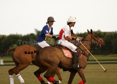 IMG_0235_w.jpg