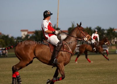 IMG_0322_w.jpg
