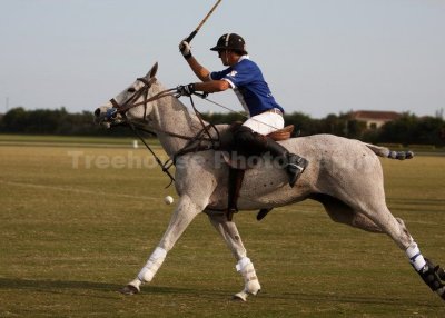 IMG_0329_w.jpg