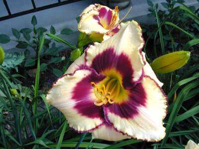 DSCN0292.JPG