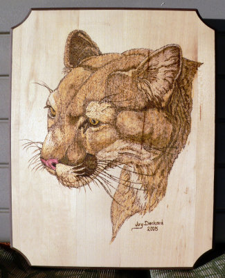 13-Mountain Lion.jpg