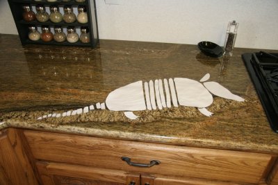 Starting the Armadillo Mosaic:  Cutouts used to trace the pattern onto a tile for cutting