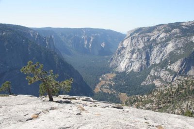 View down Yosemite Valley