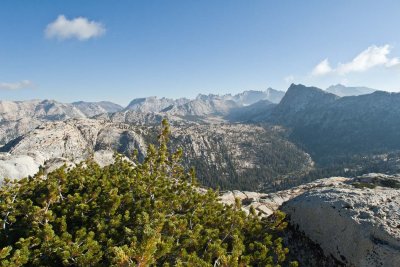 IMG_1593_Edit_pbase.jpg