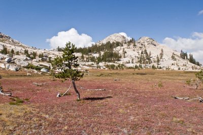 IMG_1609_Edit_pbase.jpg