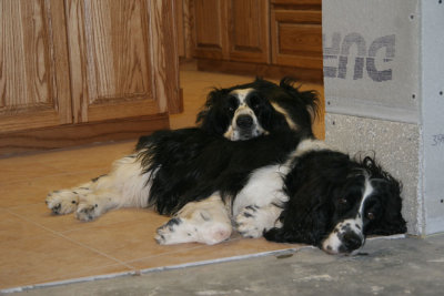 Benny and Walter are never inclined to help out when there is work to be done!