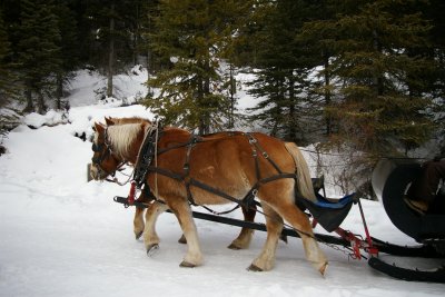 Banff09_163.JPG