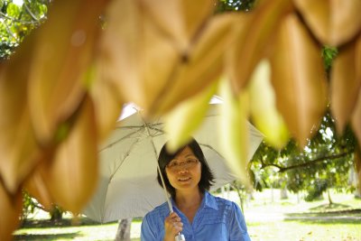 Tropical Fruit Farm