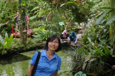 Butterfly Farm