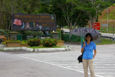 Teluk Bahang Forest Park