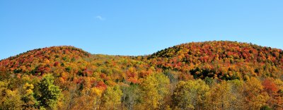 _DSC1427.jpg