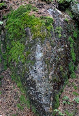 _DSC2583.jpg