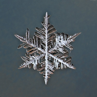 Snowflake, about 5 mm small