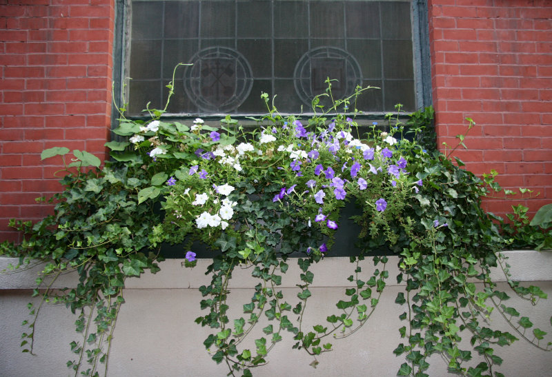 Window Flower Box - St Johns Lutheran Church